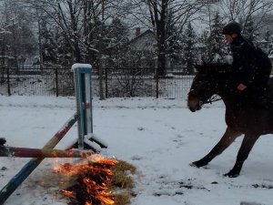 Egzamin na I stopień jeździecki w częstochowskim zespole konnym