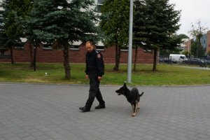 Abi – nowa „funkcjonariuszka” częstochowskiej policji
