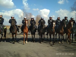konie policyjne podczas ćwiczeń