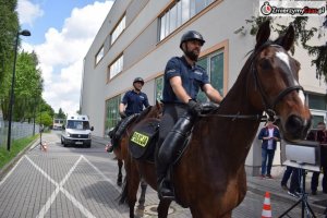 dwóch policjantów na koniach służbowych na linii mety