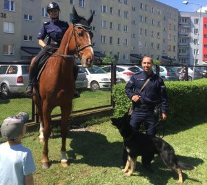policjantka na koniu służbowym wraz z policjantem z psem służbowym na smyczy