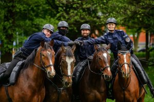 policjanci na koniach w półkolu podają sobie ręce
