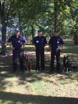 trzech umundurowanych policjantów, którzy stoją pomiedzy drzewami dwóch z nich z psami słuzbowymi