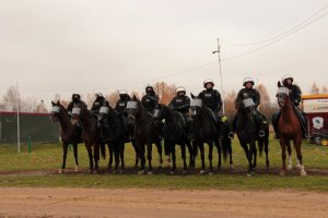 policyjni jeżdźcy na koniach służbowych