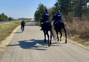 dwóch policjantów na koniach patroluje ulice, przed nimi jedzie mężczyzna na rowerze